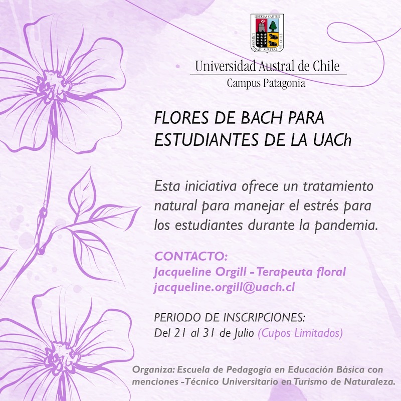 Campus Patagonia invita a sus estudiantes a inscribirse en tratamiento con  Flores de Bach - Noticias UACh