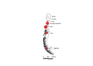 Mapa de casos en el sur de Chile. 