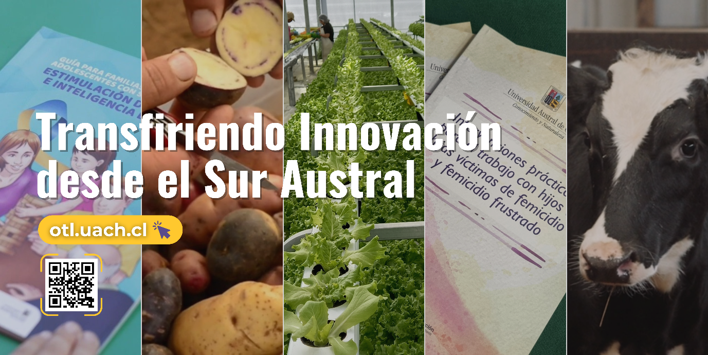 Nuevo sitio web de la OTL: Transfiriendo innovación desde el sur austral