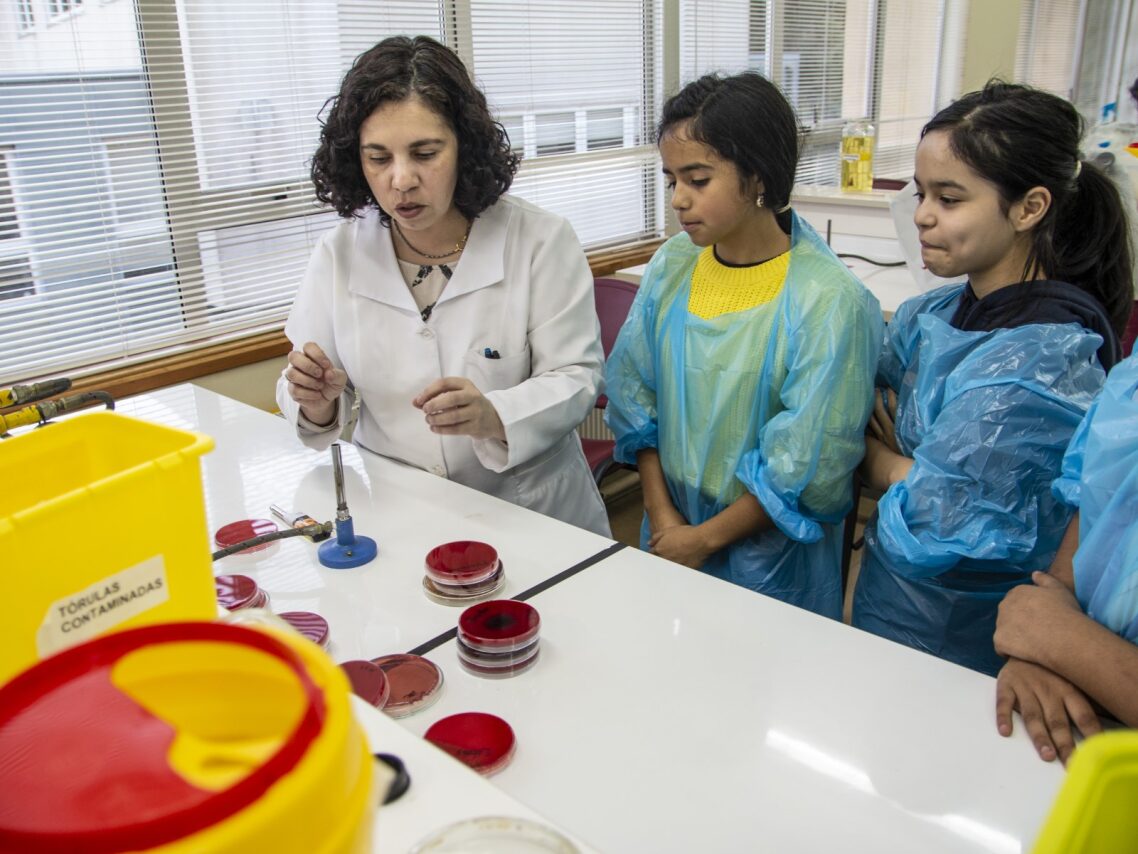Taller Laboratorio Microuniversos: ciencia y arte para niños, niñas y jóvenes