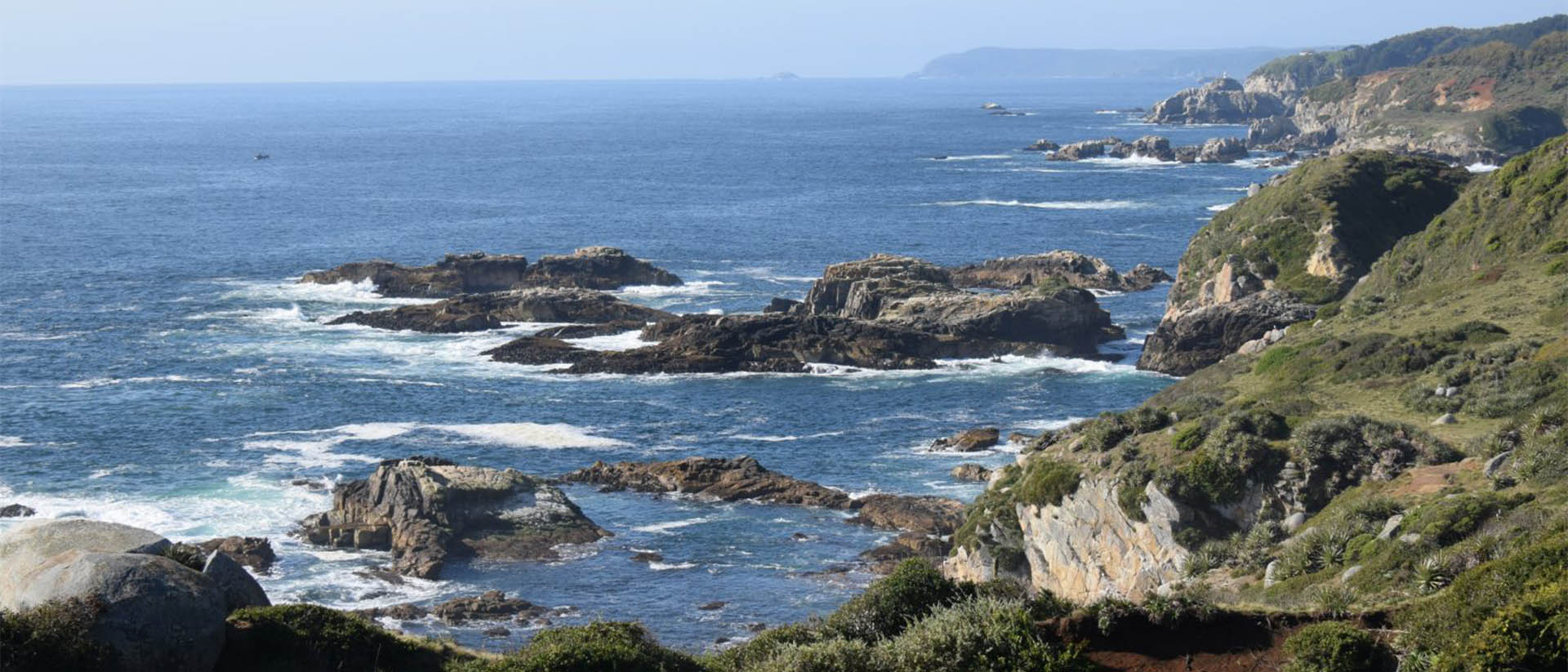 Presentan resultados de la primera evaluación de la salud del océano en Chile en 103 comunas costeras